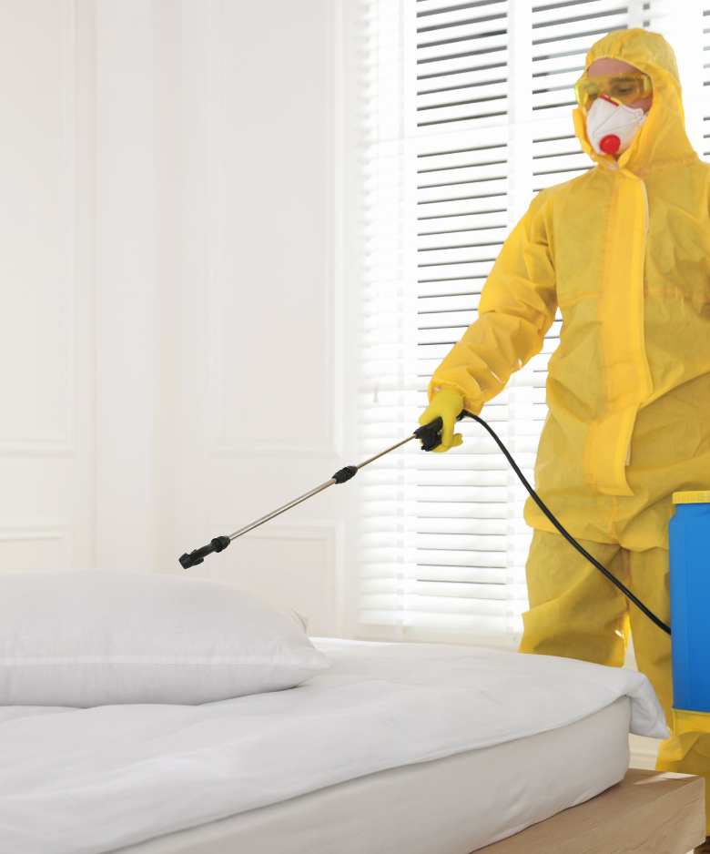 Professional Pest Control Team in Beverley